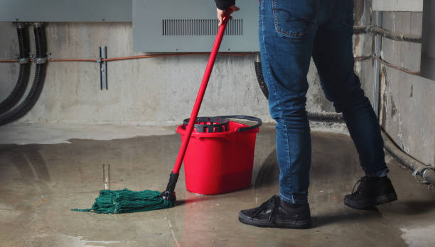 Best Basement water damage restoration  in Crosbyton, TX