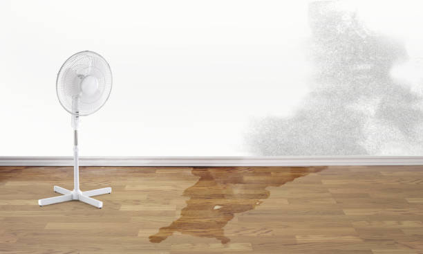 Best Carpet water damage restoration  in Crosbyton, TX
