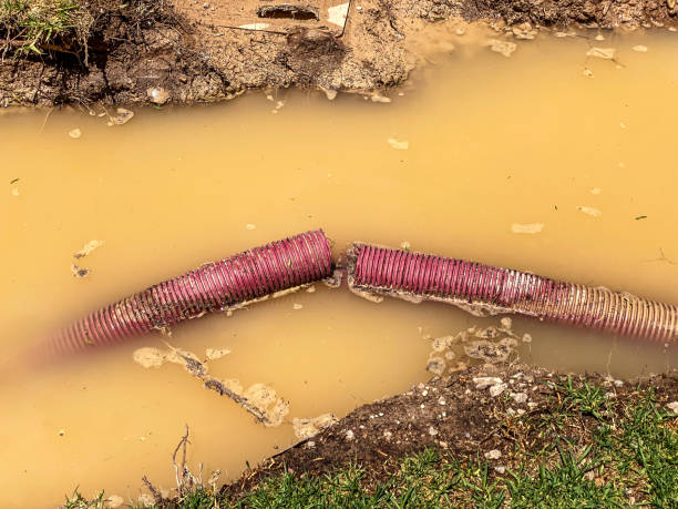 Best Water damage restoration near me  in Crosbyton, TX